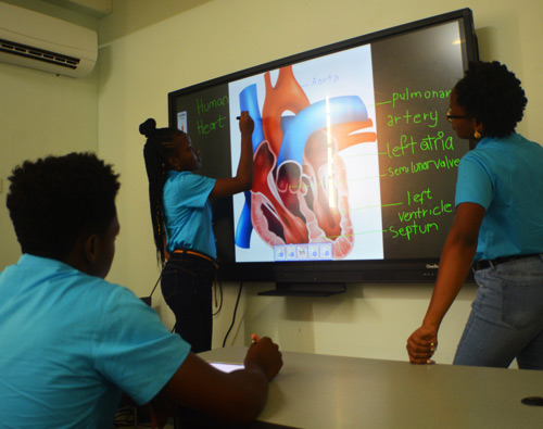 College students using digital whiteboard. 1 male, 2 female